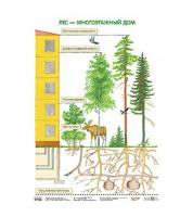 Плакат "Лес - многоэтажный дом"