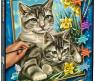 Раскраска по номерам "Кошка с котенком"