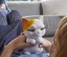 Интерактивная кошечка Fabulous Kitty FurReal Friends