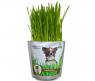 Набор для выращивания "Зоо-трава" - Трава для собак