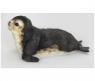 Мягкая игрушка "Детеныш тюленя-монаха", 30 см