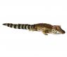 Мягкая игрушка "Филиппинский крокодил", коричневый, 72 см