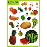 Обучающий плакат "Фрукты и ягоды"
